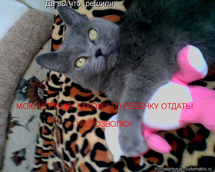 Котоматрица: Да вы что, решили  МОЮ ИГРУШКУ КАКОМУ ТО РЕБЕНКУ ОТДАТЬ! НЕ ПОЗВОЛЮ!