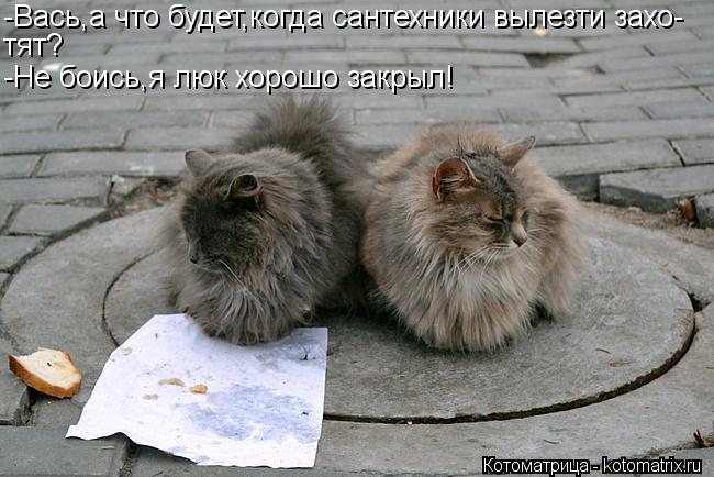 Котоматрица: -Вась,а что будет,когда сантехники вылезти захо- тят? -Не боись,я люк хорошо закрыл!