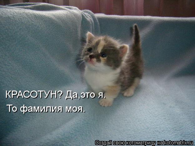 Котоматрица: КРАСОТУН? Да,это я. То фамилия моя.
