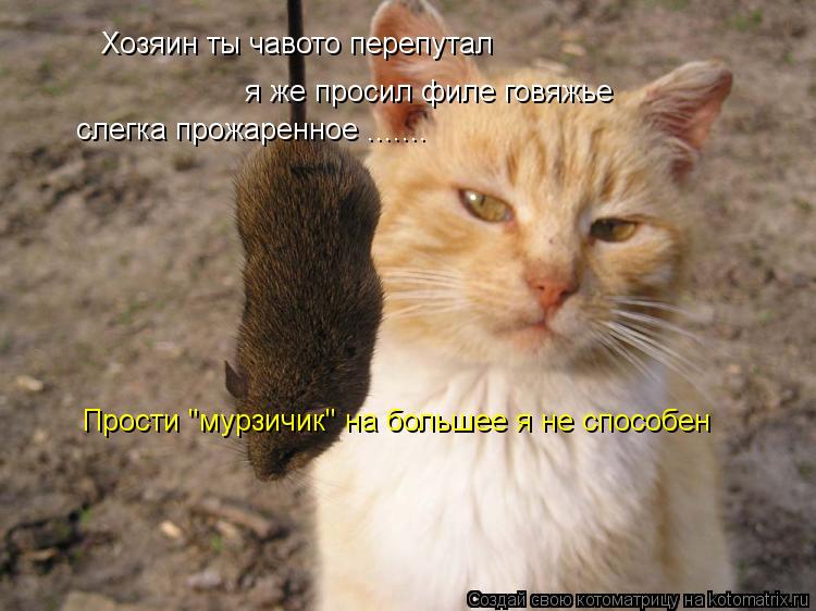 Котоматрица: Хозяин ты чавото перепутал                                           я же просил филе говяжье                                          слегка прожаренное ....... Прости "мурзичик" 