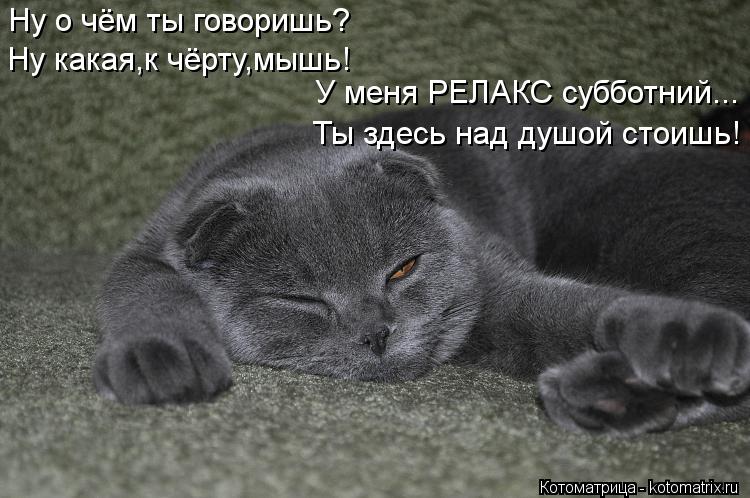 Котоматрица: Ну о чём ты говоришь? У меня РЕЛАКС субботний... Ну какая,к чёрту,мышь! Ты здесь над душой стоишь!