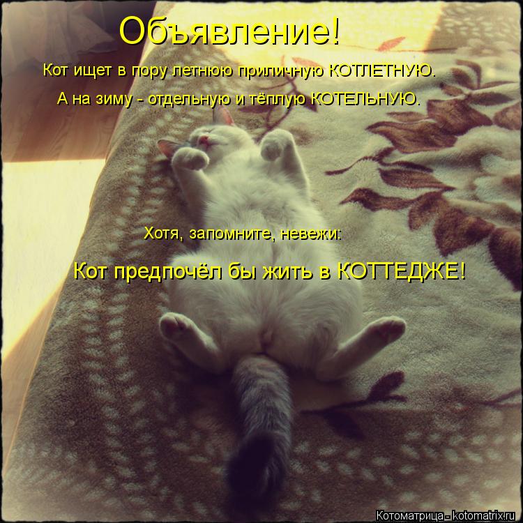 Котоматрица: Объявление! Кот ищет в пору летнюю приличную КОТЛЕТНУЮ. А на зиму - отдельную и тёплую КОТЕЛЬНУЮ. Хотя, запомните, невежи: Кот предпочёл бы жи