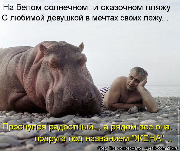 Котоматрица: На белом солнечном  и сказочном пляжу На белом солнечном  и сказочном пляжу С любимой девушкой в мечтах своих лежу... Проснулся радостный... а