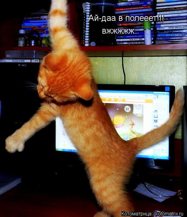 Котоматрица: Ай-даа в полееет!!! вжжжжж