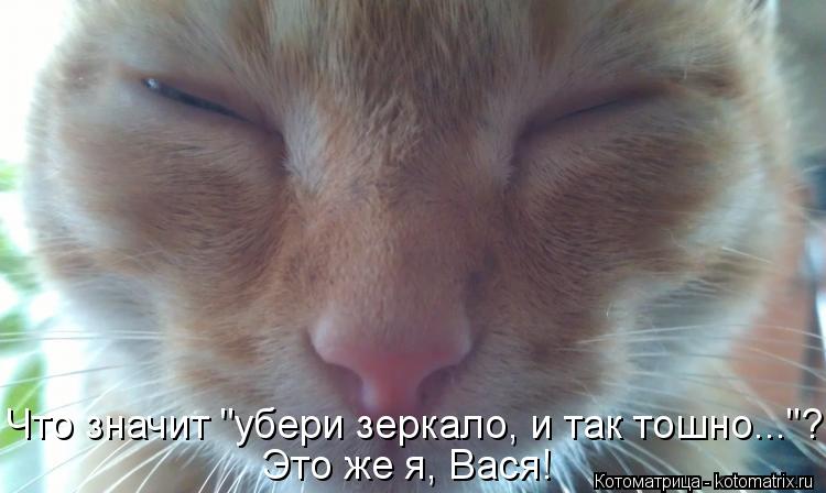 Котоматрица: Это же я, Вася! Что значит "убери зеркало, и так тошно..."?