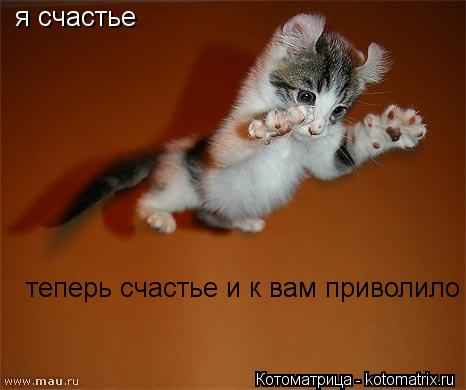 Котоматрица: я счастье теперь счастье и к вам приволило