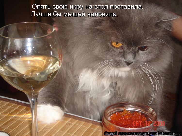 Котоматрица: Опять свою икру на стол поставила. Лучше бы мышей наловила.