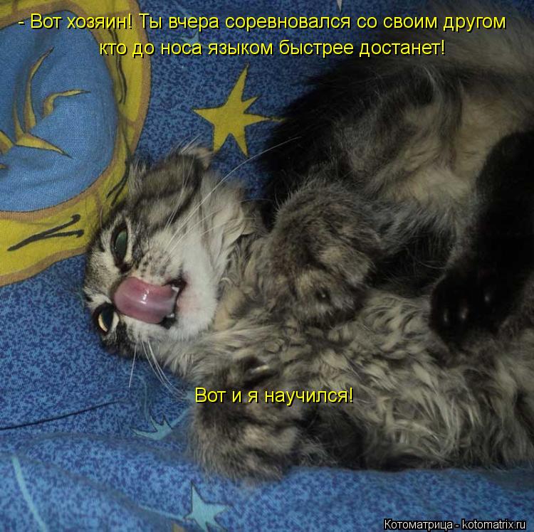 Котоматрица: - Вот хозяин! Ты вчера соревновался со своим другом кто до носа языком быстрее достанет! Вот и я научился!