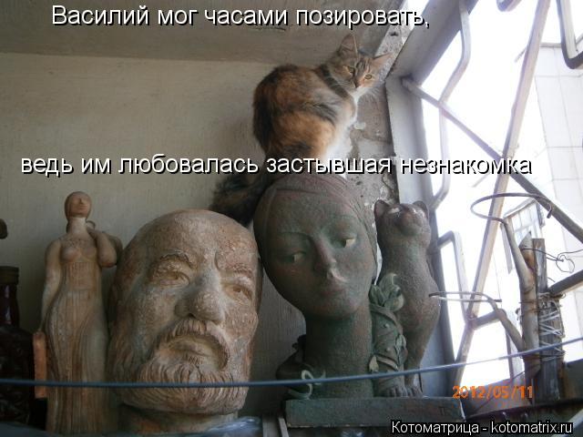 Котоматрица: Василий мог часами позировать, ведь им любовалась застывшая незнакомка