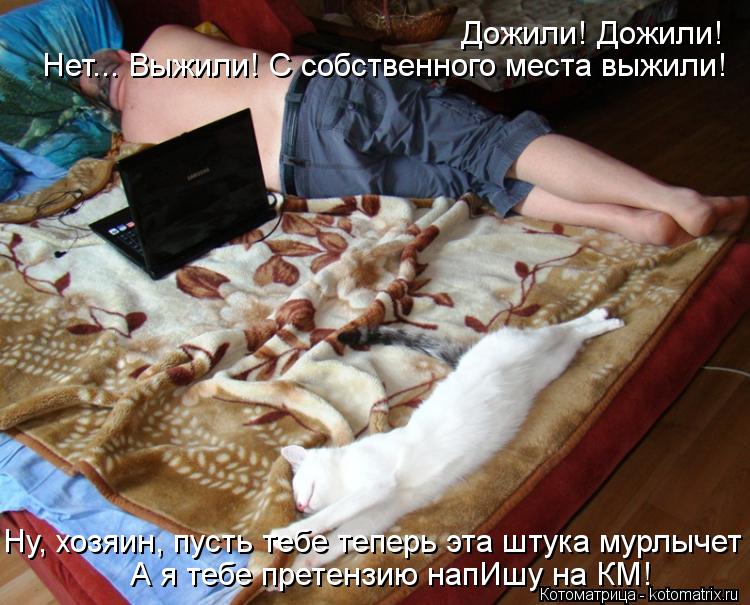 Котоматрица: Дожили! Дожили! Нет... Выжили! С собственного места выжили! Ну, хозяин, пусть тебе теперь эта штука мурлычет А я тебе претензию напИшу на КМ!