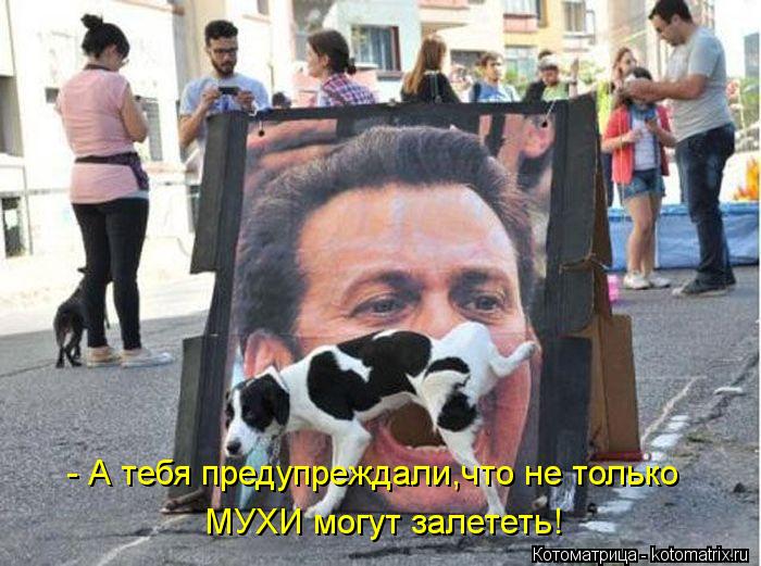 Котоматрица: - А тебя предупреждали,что не только МУХИ могут залететь!