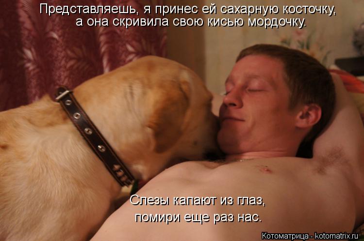 Котоматрица: Представляешь, я принес ей сахарную косточку, а она скривила свою кисью мордочку. Слезы капают из глаз, помири еще раз нас.