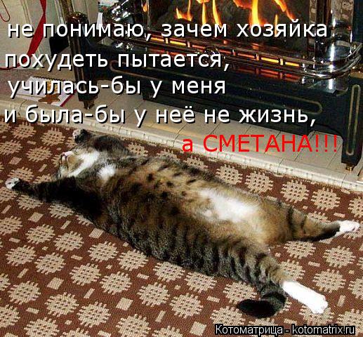 Котоматрица: похудеть пытается, училась-бы у меня  и была-бы у неё не жизнь,  не понимаю, зачем хозяйка  а СМЕТАНА!!!