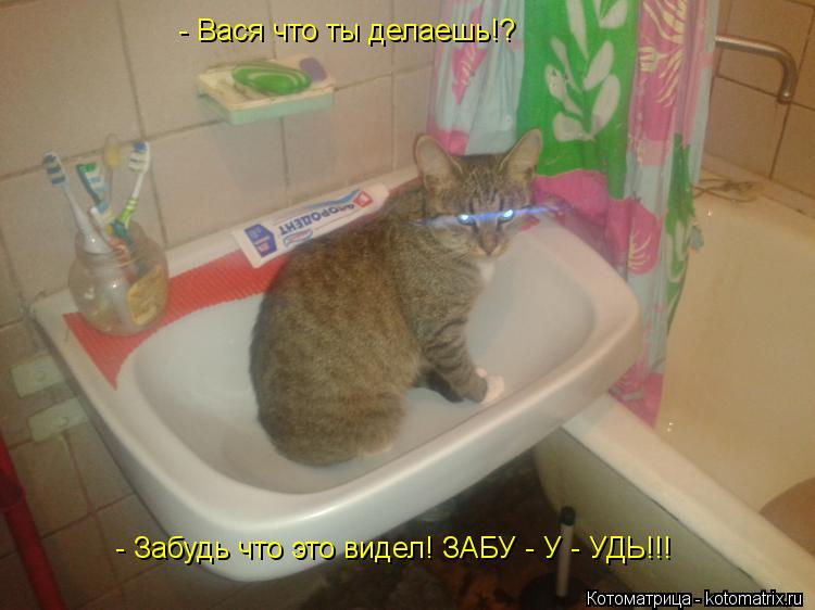 Котоматрица: - Вася что ты делаешь!? - Забудь что это видел! ЗАБУ - У - УДЬ!!!