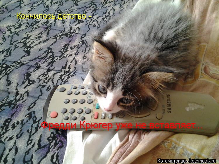 Котоматрица: Кончилось детство -  Фредди Крюгер уже не вставляет...