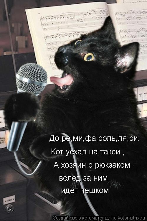 Котоматрица: До,ре,ми,фа,соль,ля,си. Кот уехал на такси ,   А хозяин с рюкзаком   вслед за ним  идет пешком