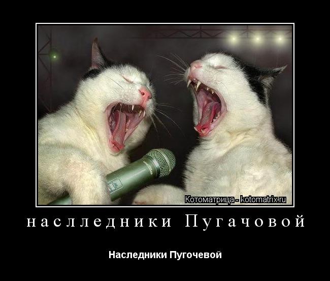Котоматрица: наслледники Пугачовой Наследники Пугочевой