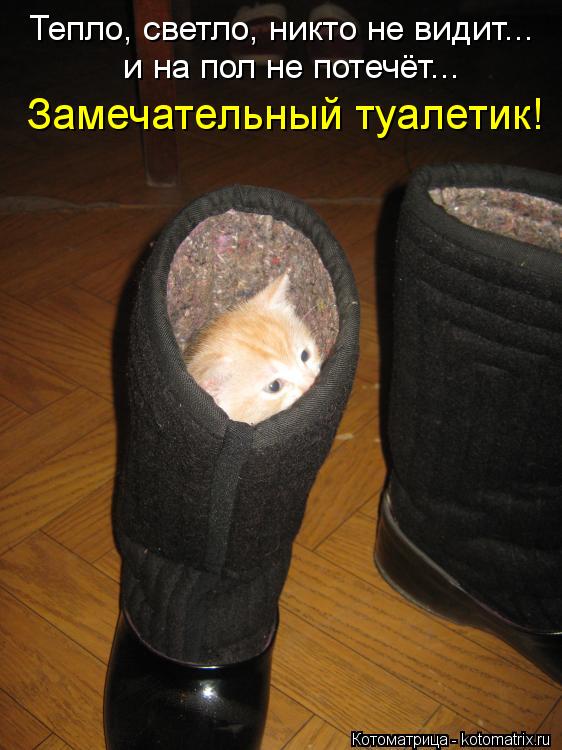 Котоматрица: Тепло, светло, никто не видит... и на пол не потечёт... Замечательный туалетик!