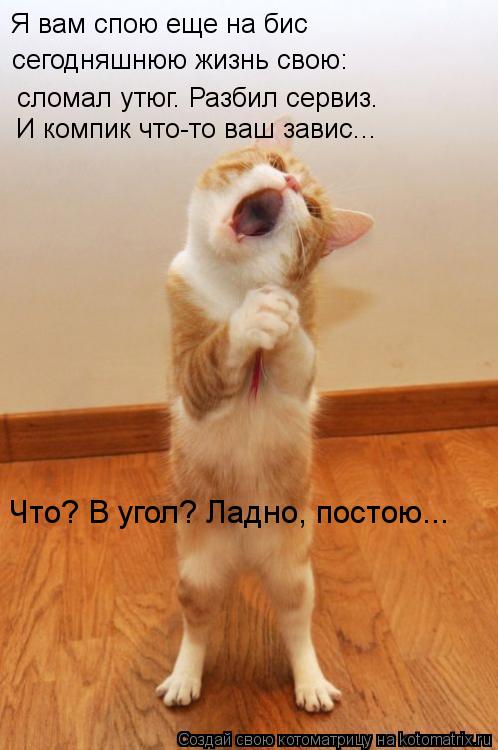 Котоматрица: Я вам спою еще на бис  сегодняшнюю жизнь свою: сломал утюг. Разбил сервиз. И компик что-то ваш завис... Что? В угол? Ладно, постою...