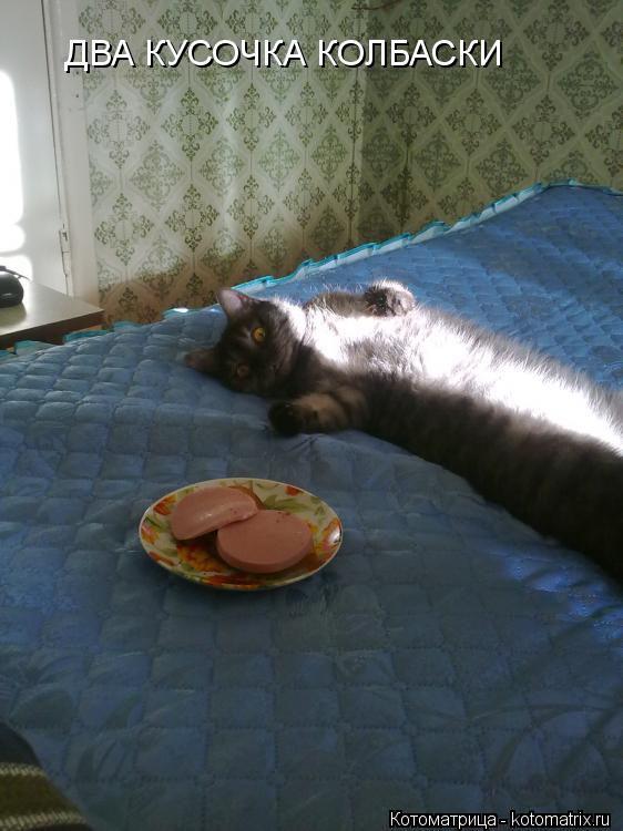 Котоматрица: ДВА КУСОЧКА КОЛБАСКИ