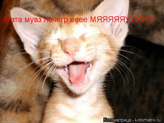 Котоматрица: Агата мувз лачегр ееее МЯЯЯЯЯУУУУУУ