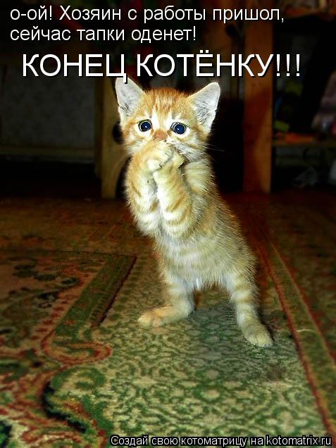 Котоматрица: о-ой! Хозяин с работы пришол,  сейчас тапки оденет!  КОНЕЦ КОТЁНКУ!!!