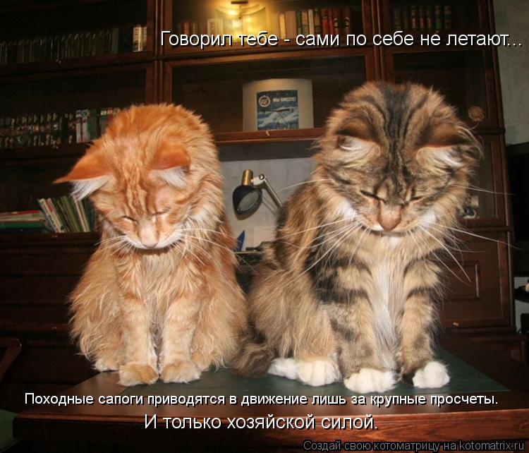 Котоматрица: Говорил тебе - сами по себе не летают... Походные сапоги приводятся в движение лишь за крупные просчеты. И только хозяйской силой.