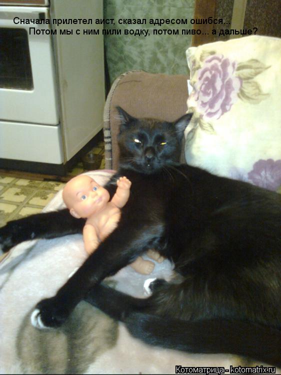 Котоматрица: Сначала прилетел аист, сказал адресом ошибся... Потом мы с ним пили водку, потом пиво... а дальше?