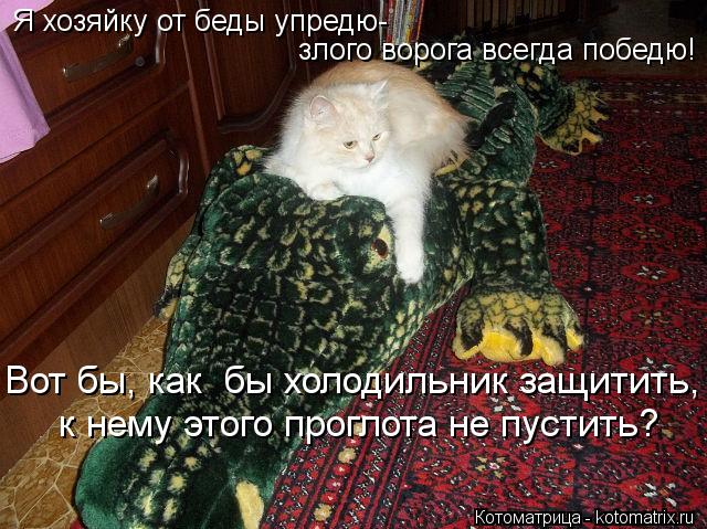 Котоматрица: Я хозяйку от беды упредю- злого ворога всегда победю! Вот бы, как  бы холодильник защитить,  к нему этого проглота не пустить?