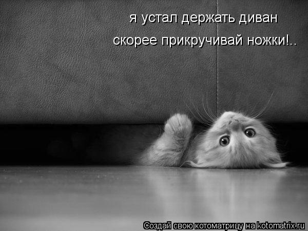 Котоматрица: я устал держать диван скорее прикручивай ножки!..