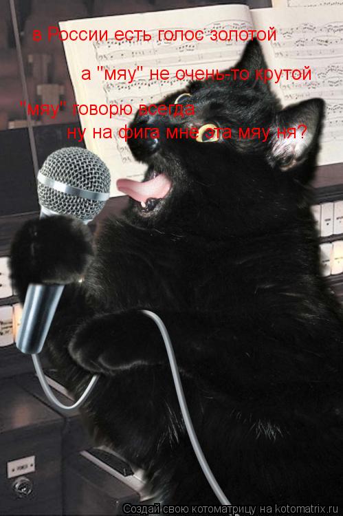 Котоматрица: в России есть голос золотой а "мяу" не очень-то крутой "мяу" говорю всегда ну на фига мне эта мяу ня?