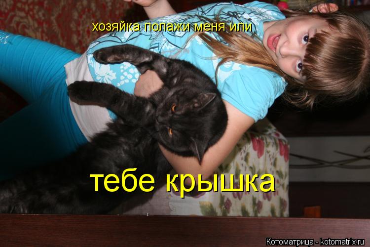 Котоматрица: хозяйка полажи меня или тебе крышка