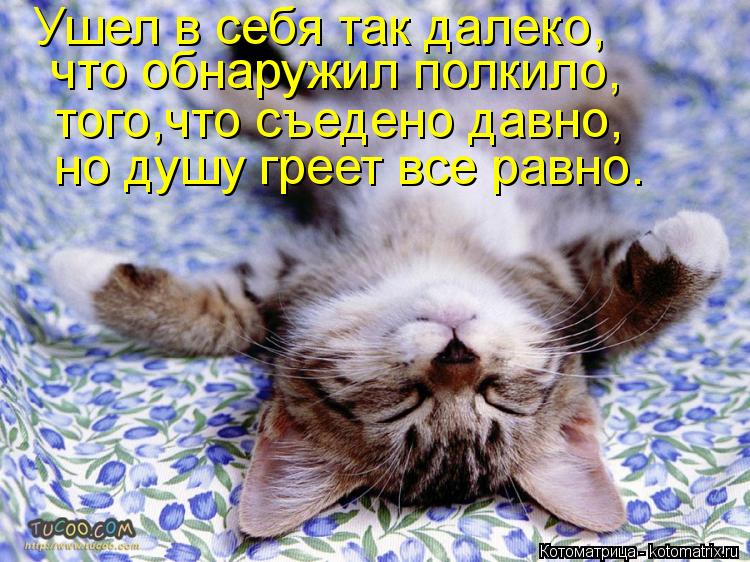 Котоматрица: Ушел в себя так далеко, что обнаружил полкило, того,что съедено давно, но душу греет все равно.