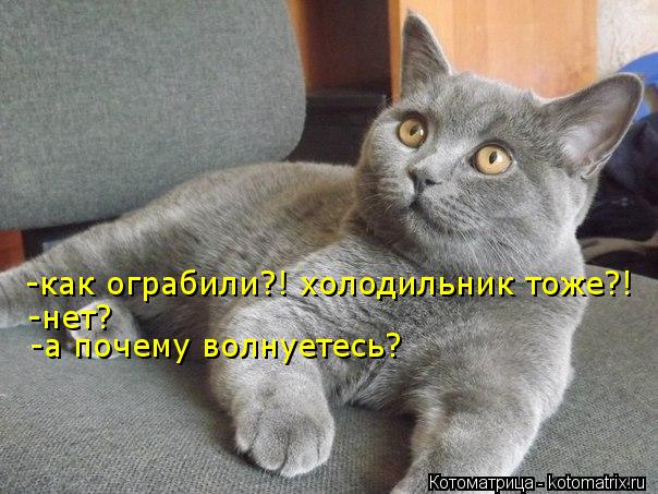 Котоматрица: -нет? -а почему волнуетесь? -как ограбили?! холодильник тоже?!