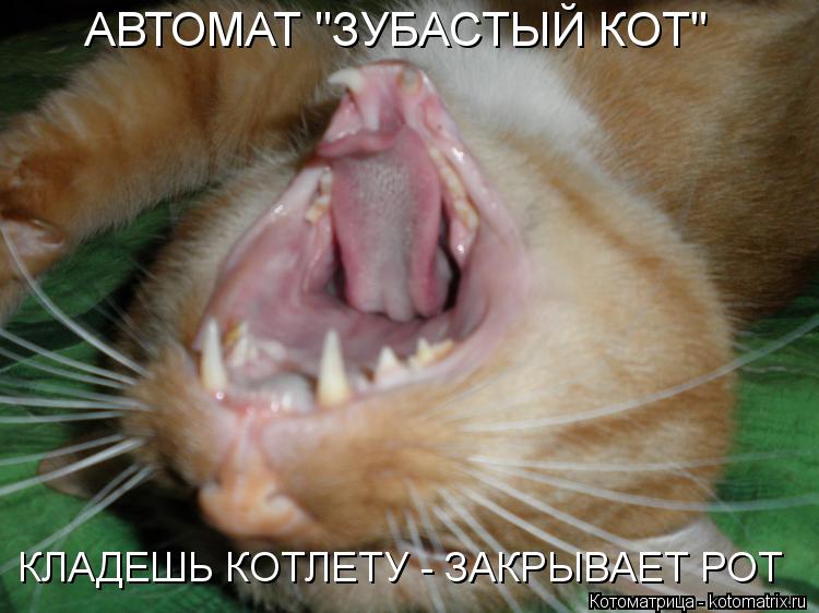 Котоматрица: АВТОМАТ "ЗУБАСТЫЙ КОТ" КЛАДЕШЬ КОТЛЕТУ - ЗАКРЫВАЕТ РОТ