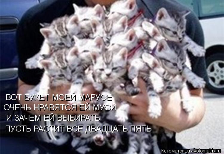 Котоматрица: ВОТ БУКЕТ МОЕЙ МАРУСЕ ОЧЕНЬ НРАВЯТСЯ ЕЙ МУСИ И ЗАЧЕМ ЕЙ ВЫБИРАТЬ ПУСТЬ РАСТИТ ВСЕ ДВАДЦАТЬ ПЯТЬ