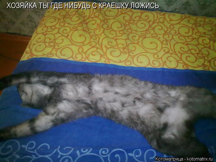 Котоматрица: ХОЗЯЙКА ТЫ ГДЕ НИБУДЬ С КРАЕШКУ ЛОЖИСЬ