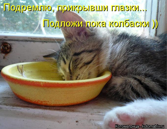 Котоматрица: Подремлю, прикрывши глазки...   Подложи пока колбаски ))