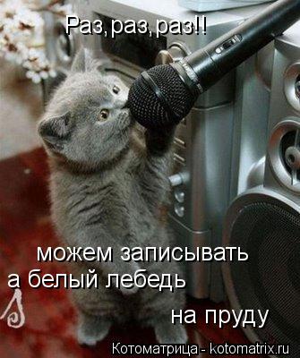 Котоматрица: Раз,раз,раз!! можем записывать а белый лебедь на пруду