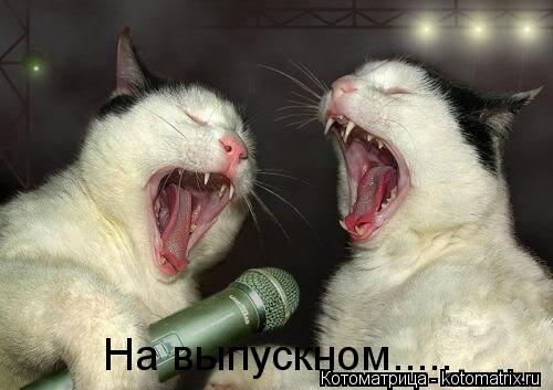 Котоматрица: На выпускном.....
