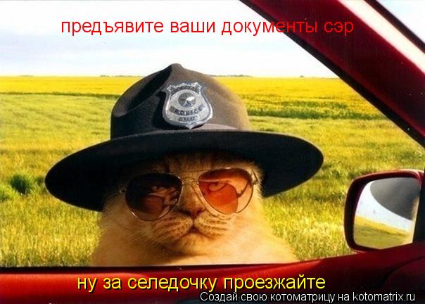 Котоматрица: предъявите ваши документы сэр  ну за селедочку проезжайте