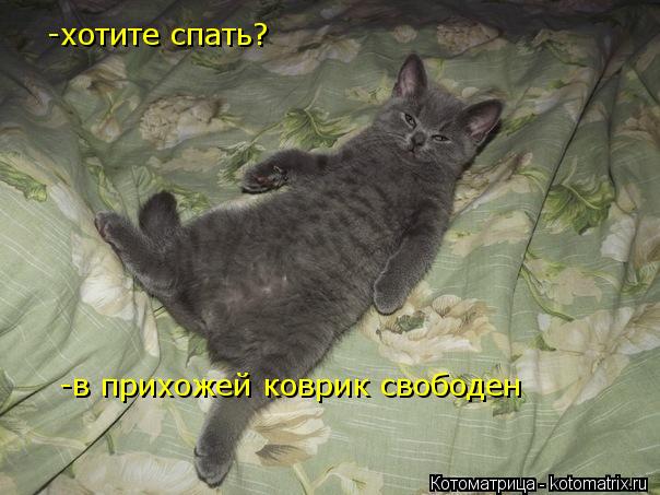 Котоматрица: -хотите спать? -в прихожей коврик свободен