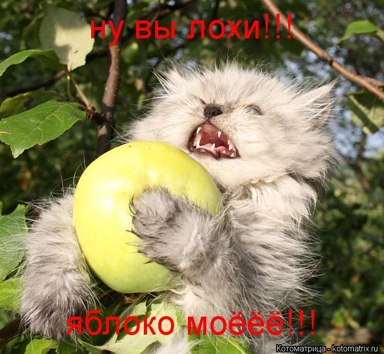 Котоматрица: ну вы лохи!!! яблоко моёёё!!!