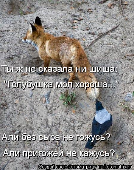Котоматрица: Ты ж не сказала ни шиша: "Голубушка,мол,хороша..." Али без сыра не гожусь? Али пригожей не кажусь?