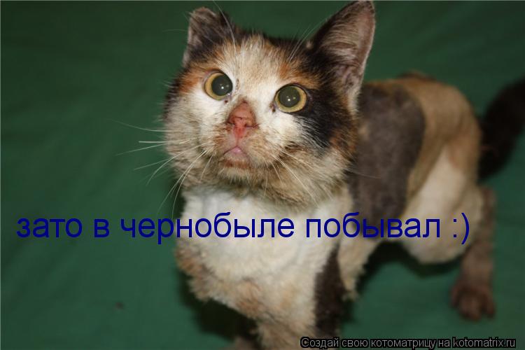 Котоматрица: зато в чернобыле побывал :)