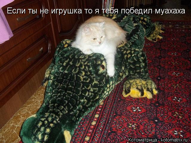 Котоматрица: Если ты не игрушка то я тебя победил муахаха