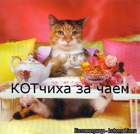 Котоматрица: КОТчиха за чаем