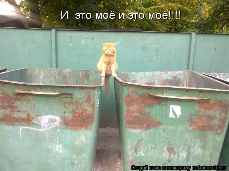 Котоматрица: И  это моё и это моё!!!!