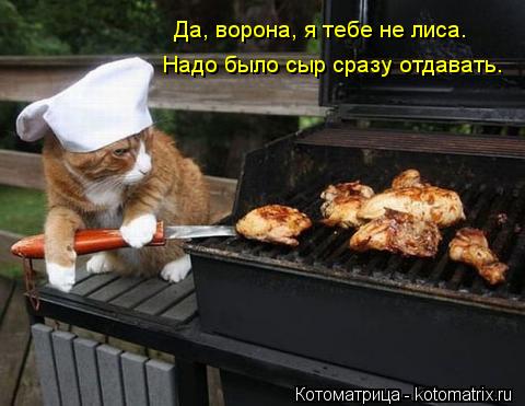 Котоматрица: Да, ворона, я тебе не лиса. Надо было сыр сразу отдавать.