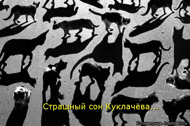 Котоматрица: Страшный сон Куклачёва...